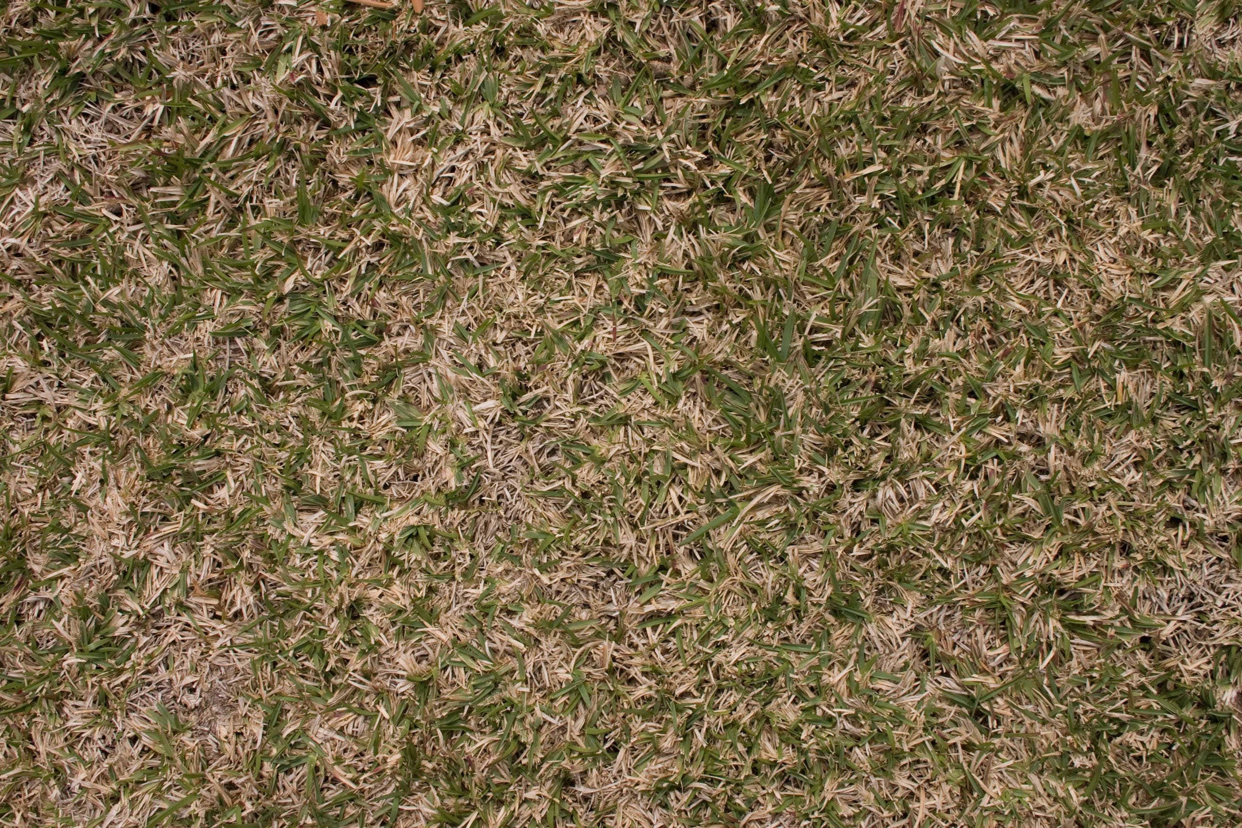textures-large-1